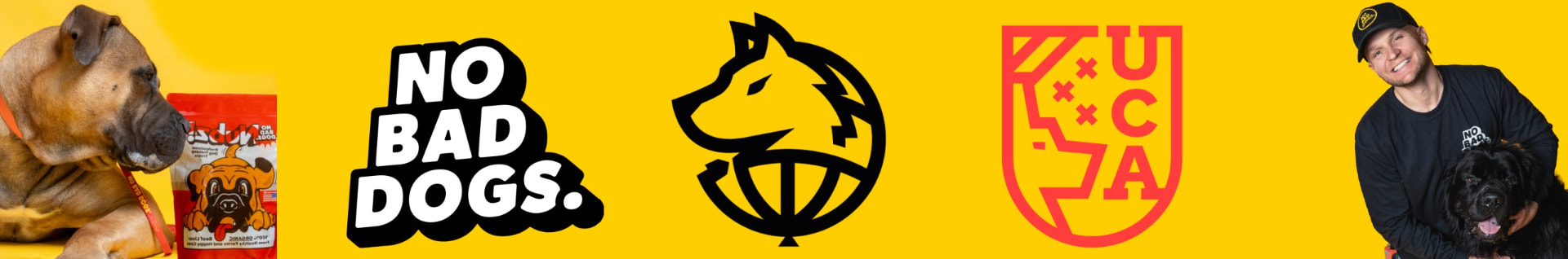 Tom Davis Dog Training YouTube channel banner featuring Tom Davis, dogs and No Bad Dogs branding